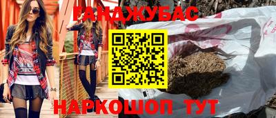 молекула духа Шелехов