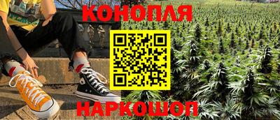 молекула духа Шелехов
