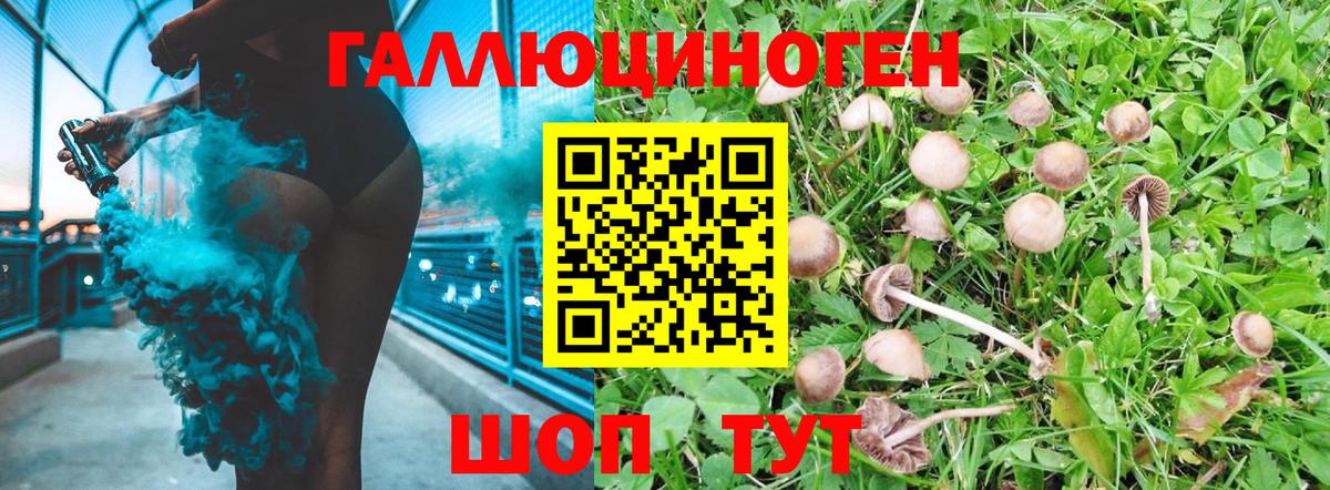 Вязьма  Псилоцибиновые грибы Psilocybine cubensis  купить наркотики сайты  Вход с VPN 